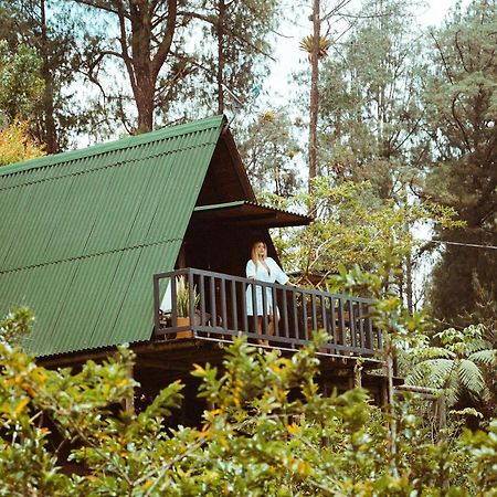 Hotel Cardinal Glamping Guatapé Esterno foto